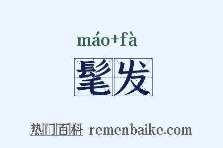 髦发是什么意思的图片